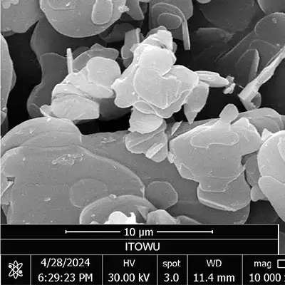 D50約16μmの六方晶窒化ホウ素粉末SEM画像
