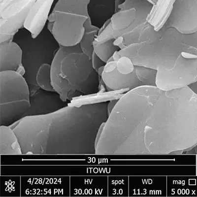 D50約38μmの六方晶窒化ホウ素粉末SEM画像